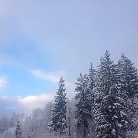 Malina