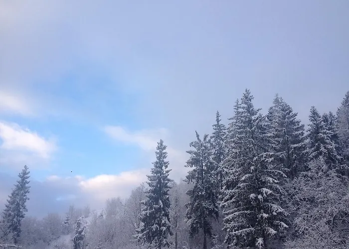 Malina